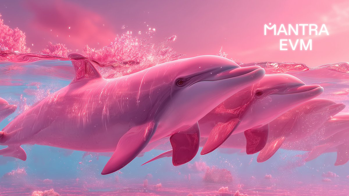 Independentemente das correntes. O único caminho é para casa.

O prazo para chegar lá é 15 de janeiro de 2026.