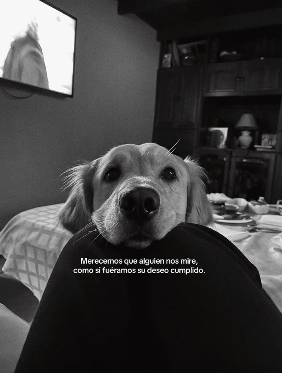 ramé (@escritosrame) on Twitter photo 