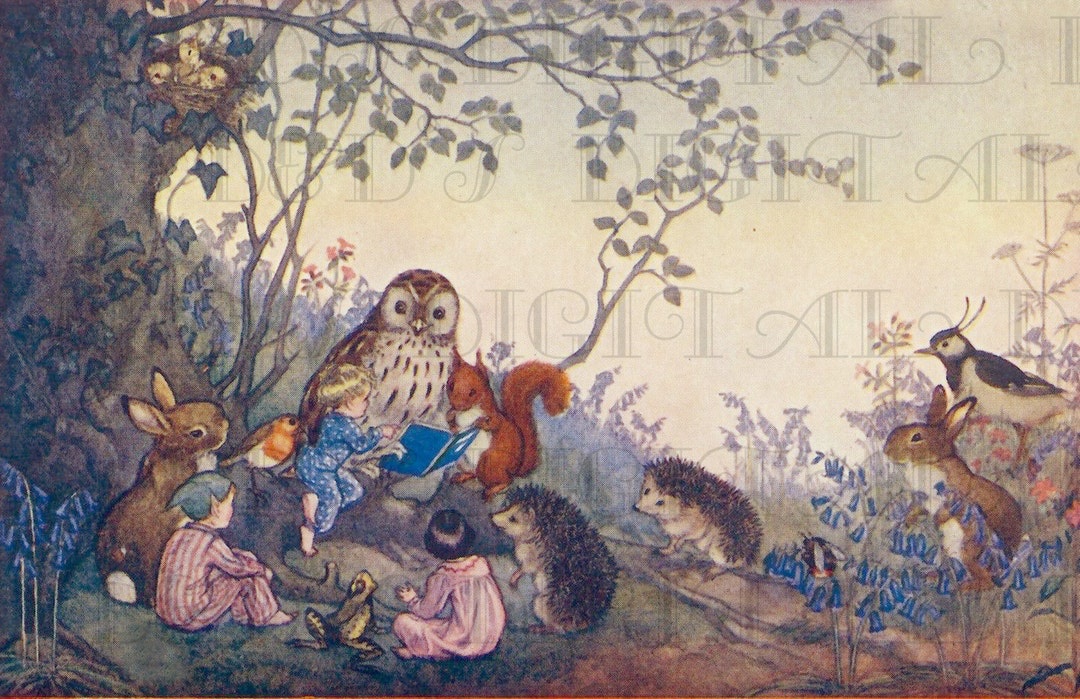 debbiejett17's tweet image. #bookchatweekly

Molly Brett