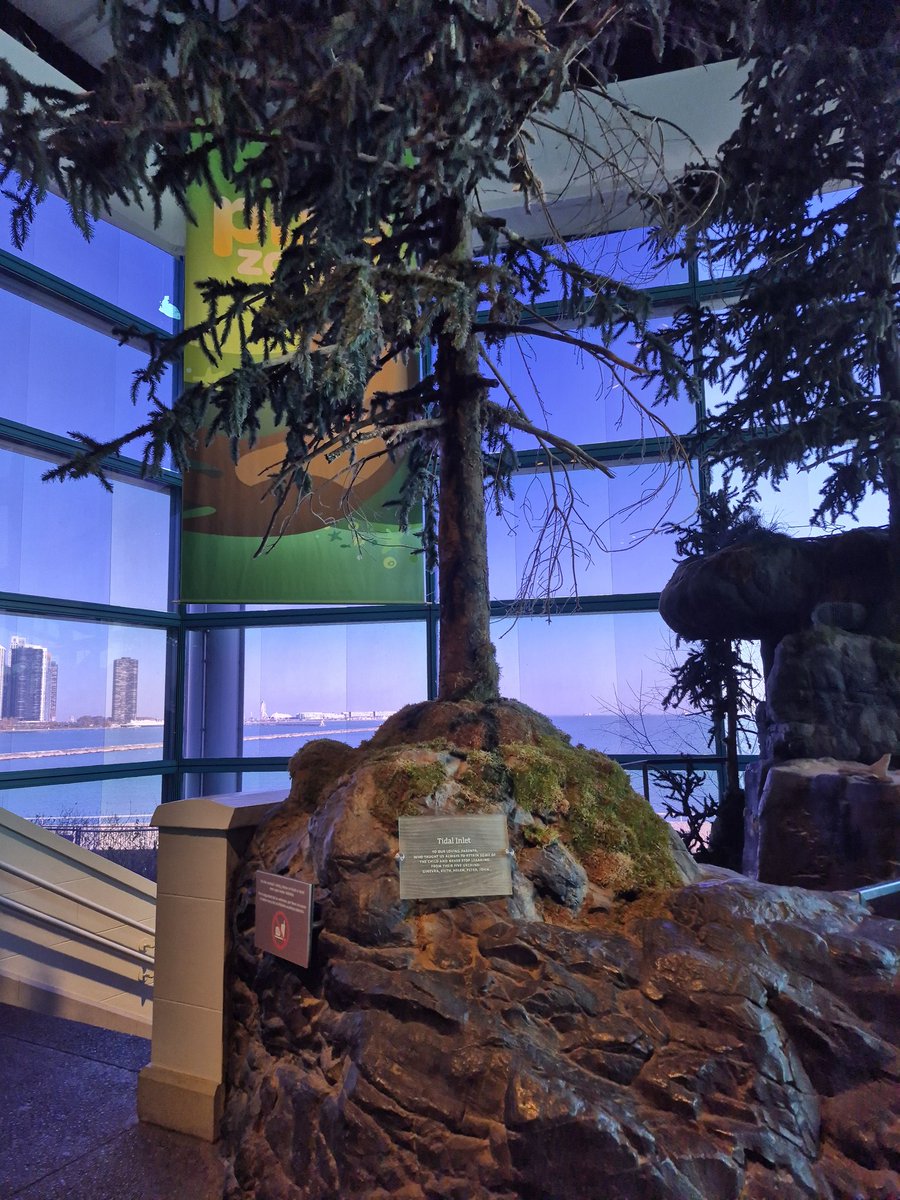 CharringAuh5's tweet image. #tidalcreek or tidal channel is a narrow inlet or estuary that is affected by the ebb and flow of ocean tides.[1] Thus, it has variable salinity and electrical conductivity over the tidal cycle, and flushes salts from inland soils. Tidal creeks are