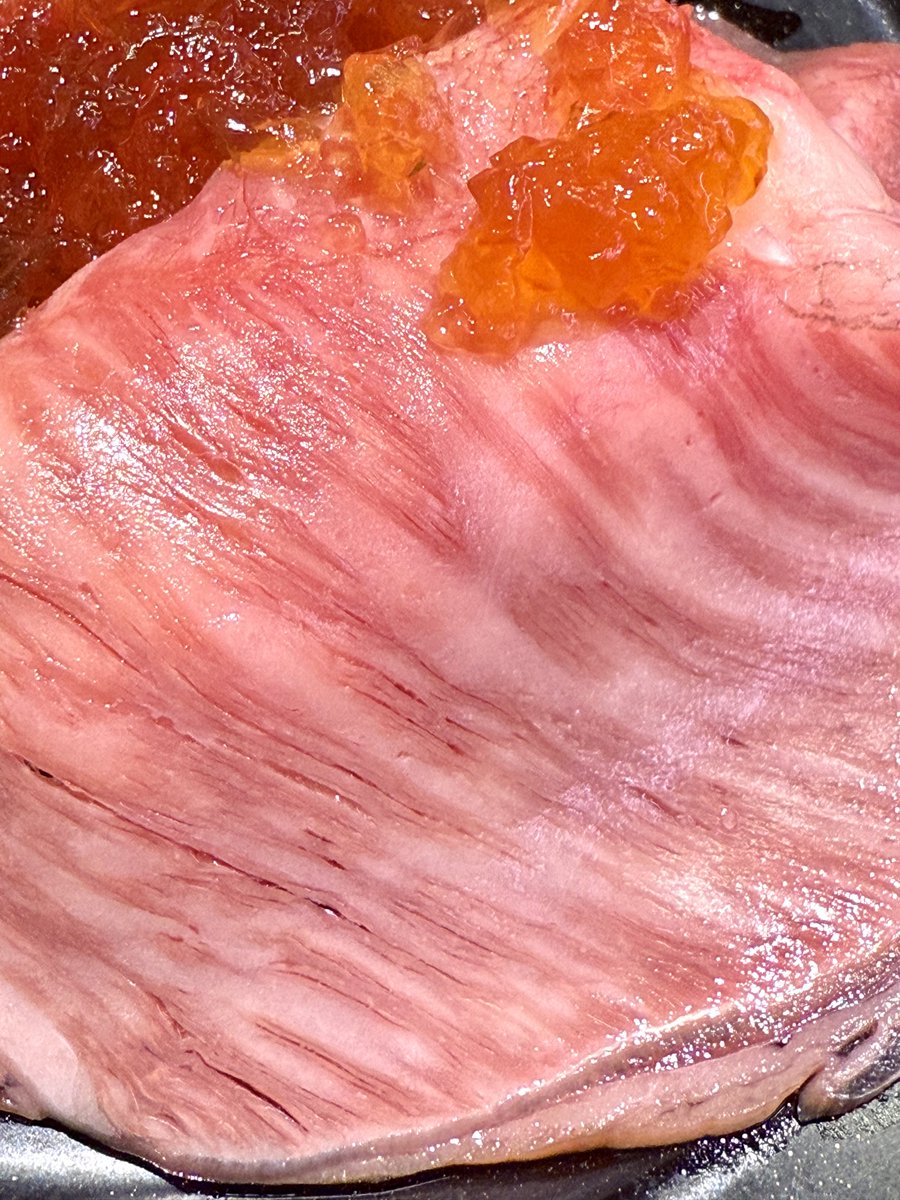 すしえ様 えびぃー！ 寿司ぃー！ サシぃー！