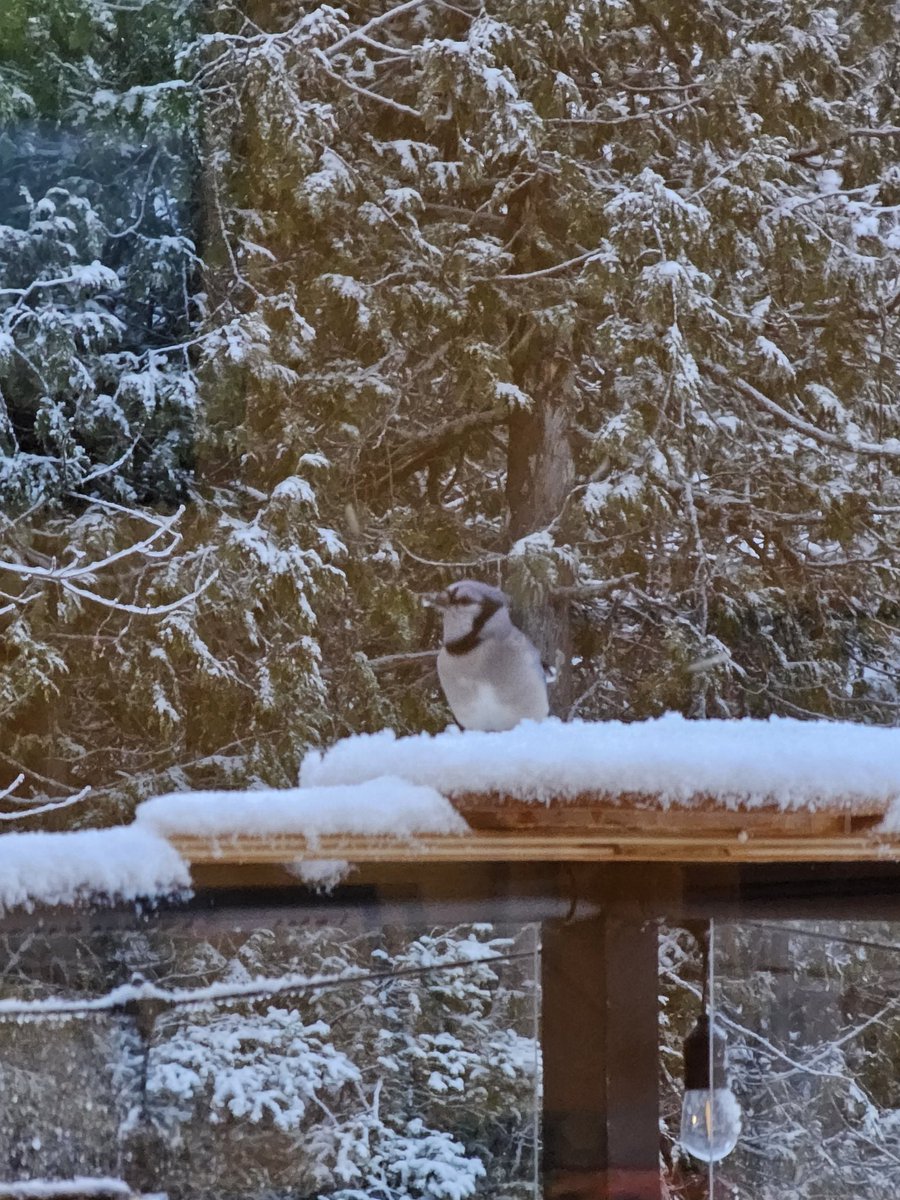 And so winter starts