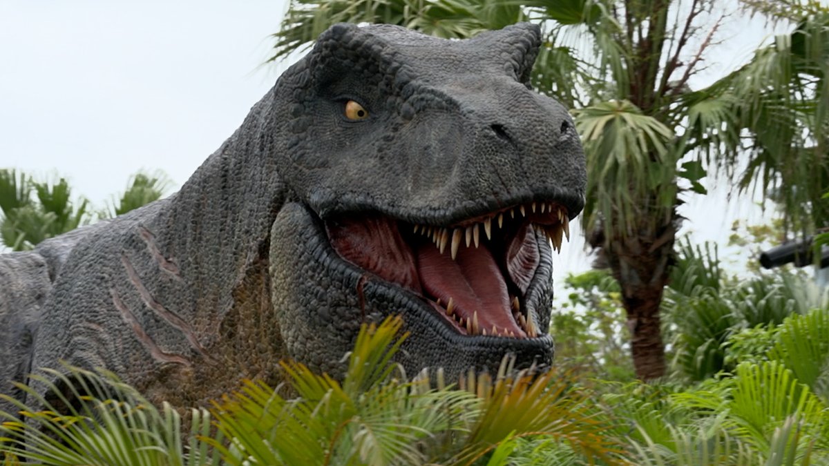 ジャングリア の心を震わす“興奮体験”／ 身体ひとつで大自然の中に