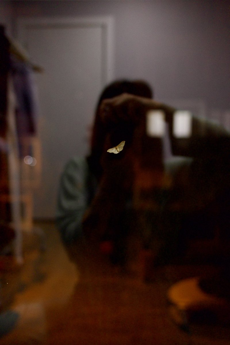 zeynep renda tweet media