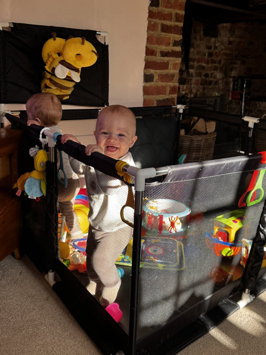 MelanieBeck20's tweet image. Morning, afternoon and evening of double trouble 
#movinghouse #HOMEBOUND