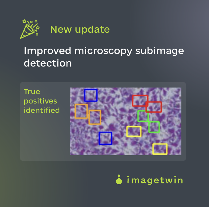 imagetwin tweet media