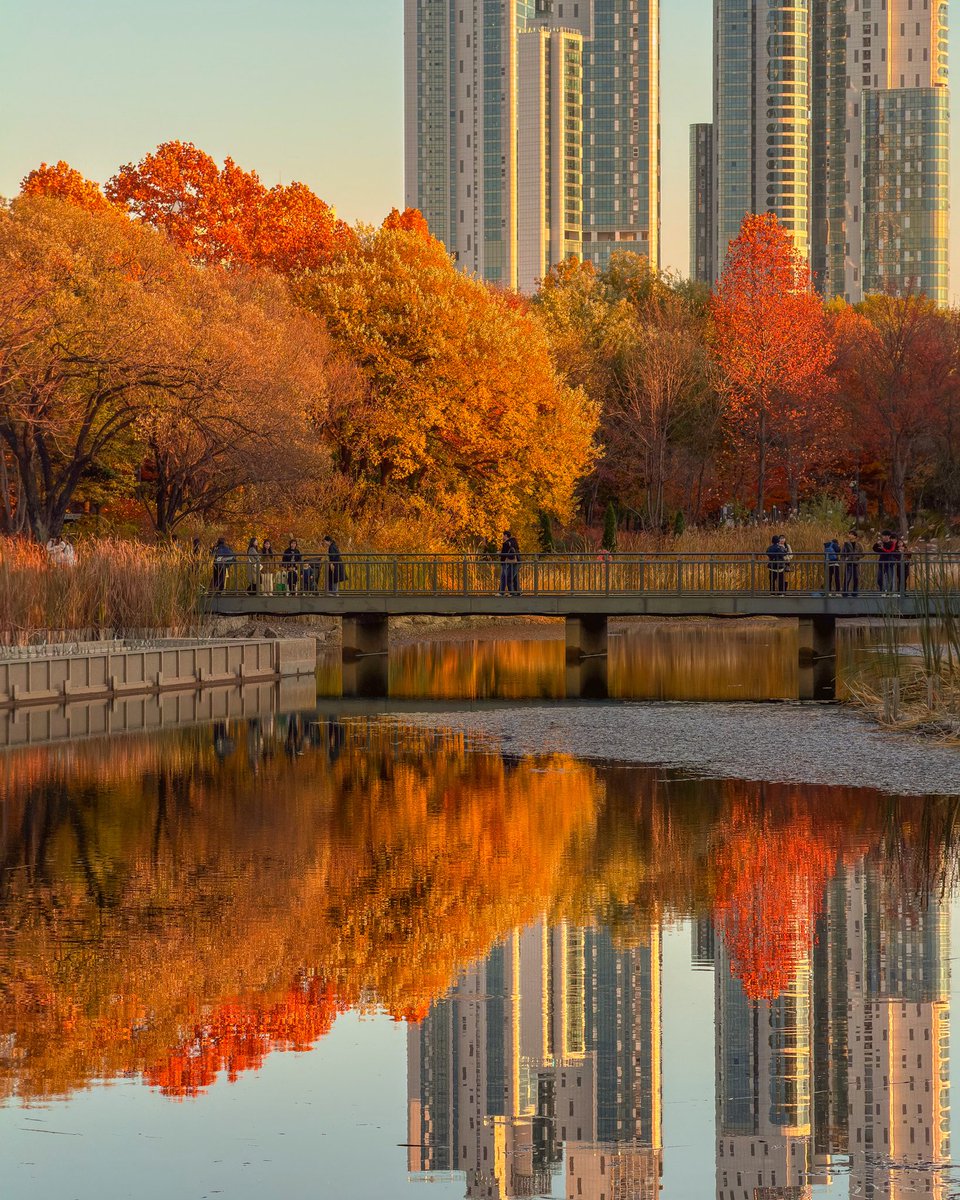 hello dongwon tweet media