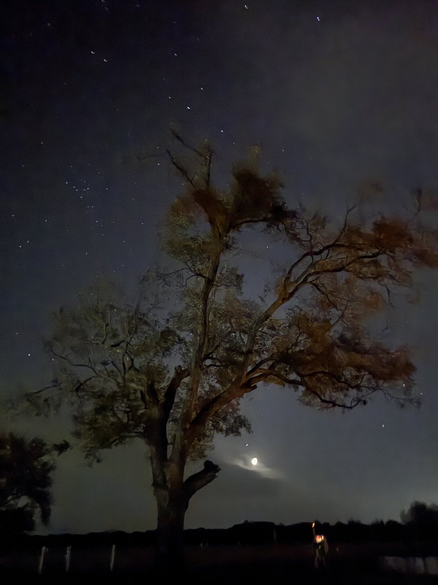 AkashiCris 🇵🇷 tweet media