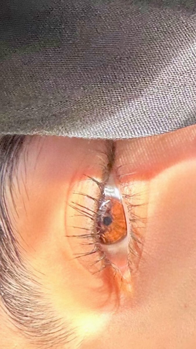 ansamuux's tweet image. 