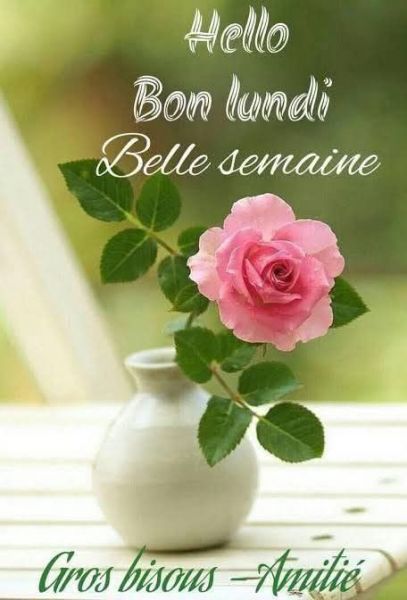 LaplumedeT's tweet image. Bonjour chers #abonnés #amis  #ligue_des_optimistes 

Comment allez vous ? 
J&apos;espère que tout le monde va bien ? 

C&apos;est lundi et c&apos;est reparti pour une nouvelle semaine d&apos;aventure 😀

Je vous souhaite une agreable journée. 

Prenez soin de vous 🙏
Avec toute mon amitié 💋💋💋💋