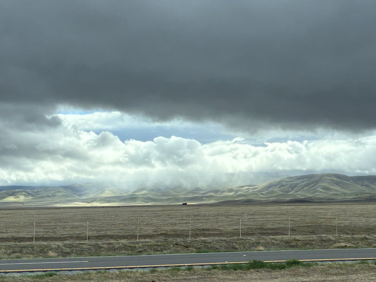 GloriousAllianc's tweet image. It is definitely full Pineapple Express rain coming through in waves! Rain, fog, then, sun, then rain, fog…