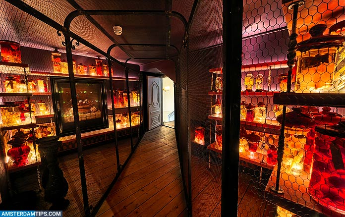 Amsterdam Tips tweet media