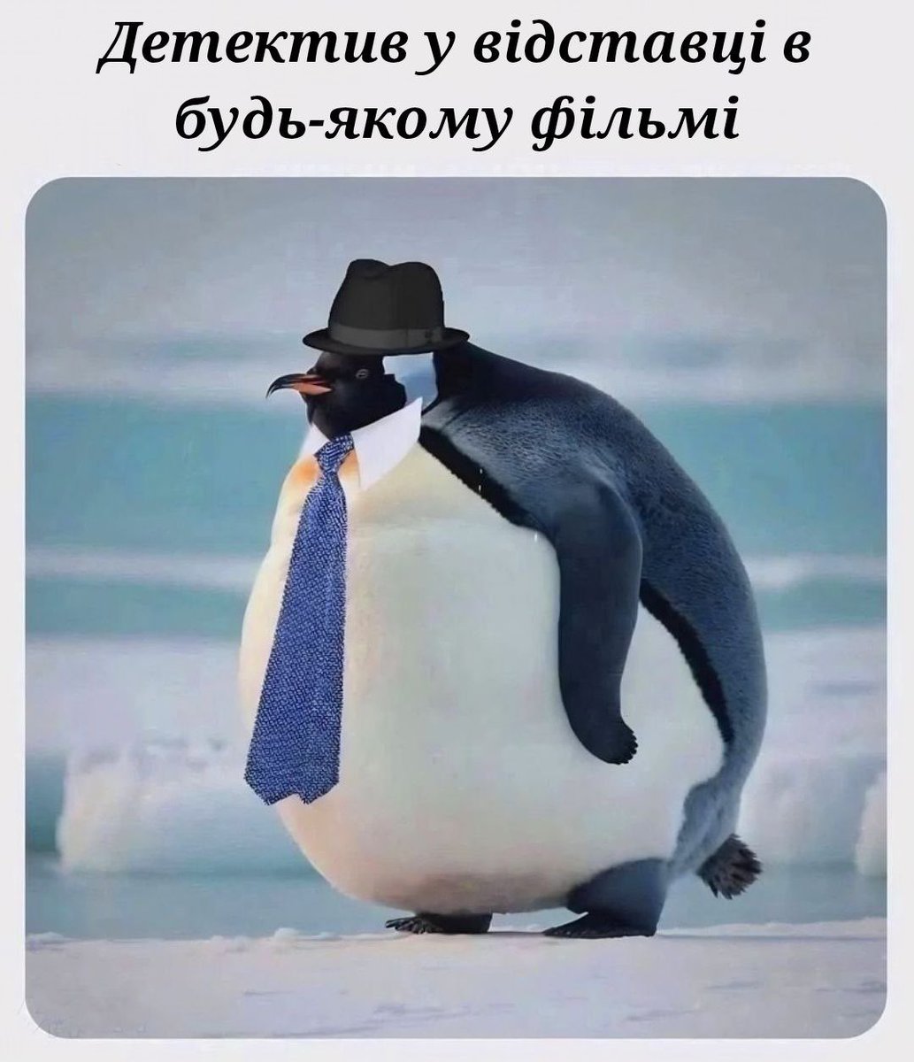 бро скинул мем (@bromemss) on Twitter photo 