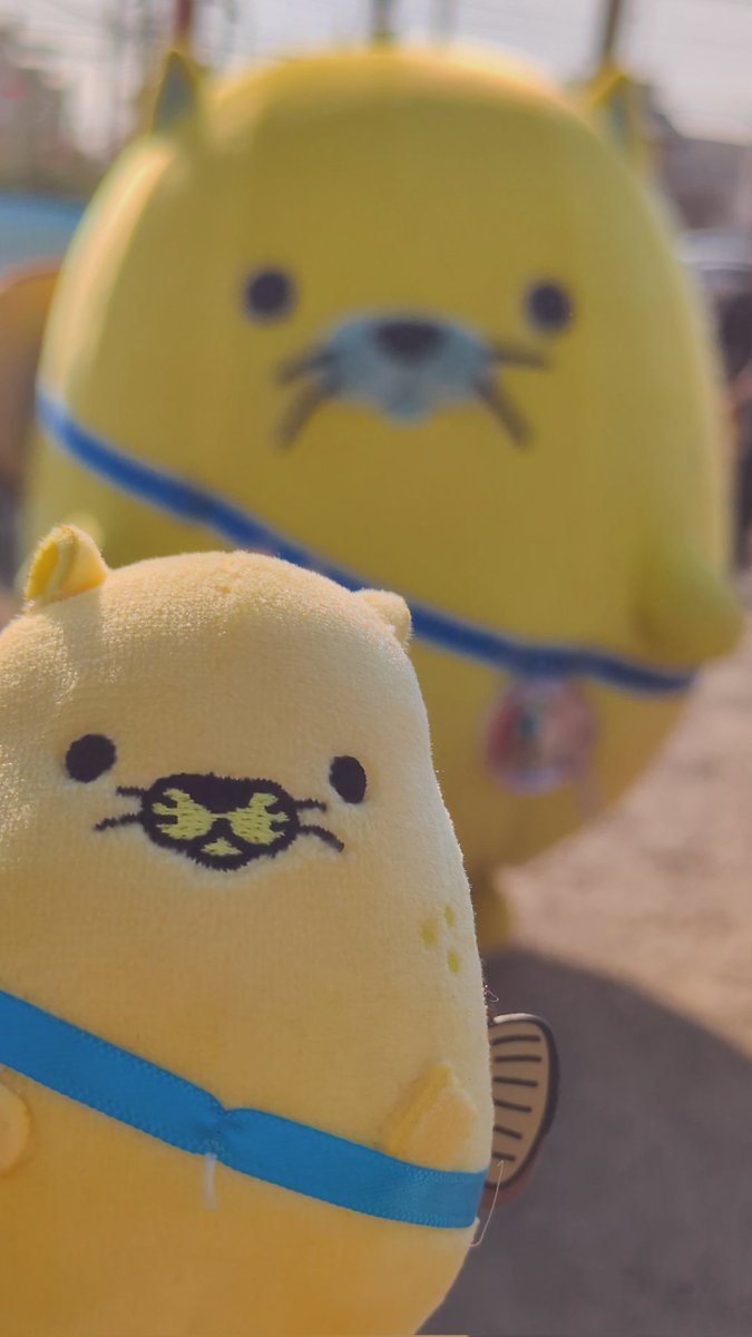 chimo2mo's tweet photo. 世界キャラクターさみっとin羽生2025

にゃモンちゃんと1年ぶりに会えて最高でした😻
 #はにゅはにゅ ♡ https://t.co/7vsam9fqPq