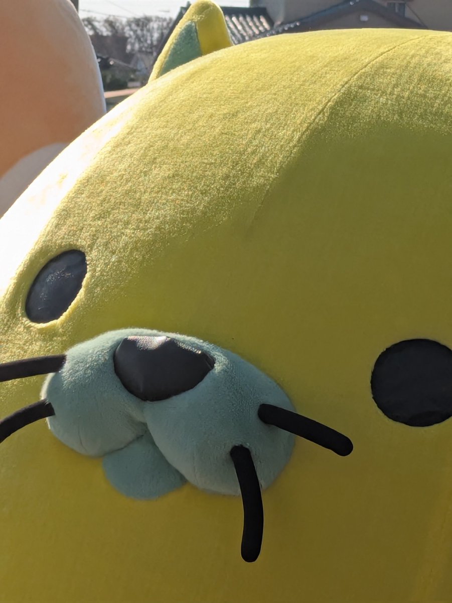 chimo2mo's tweet photo. 世界キャラクターさみっとin羽生2025

にゃモンちゃんと1年ぶりに会えて最高でした😻
 #はにゅはにゅ ♡ https://t.co/7vsam9fqPq
