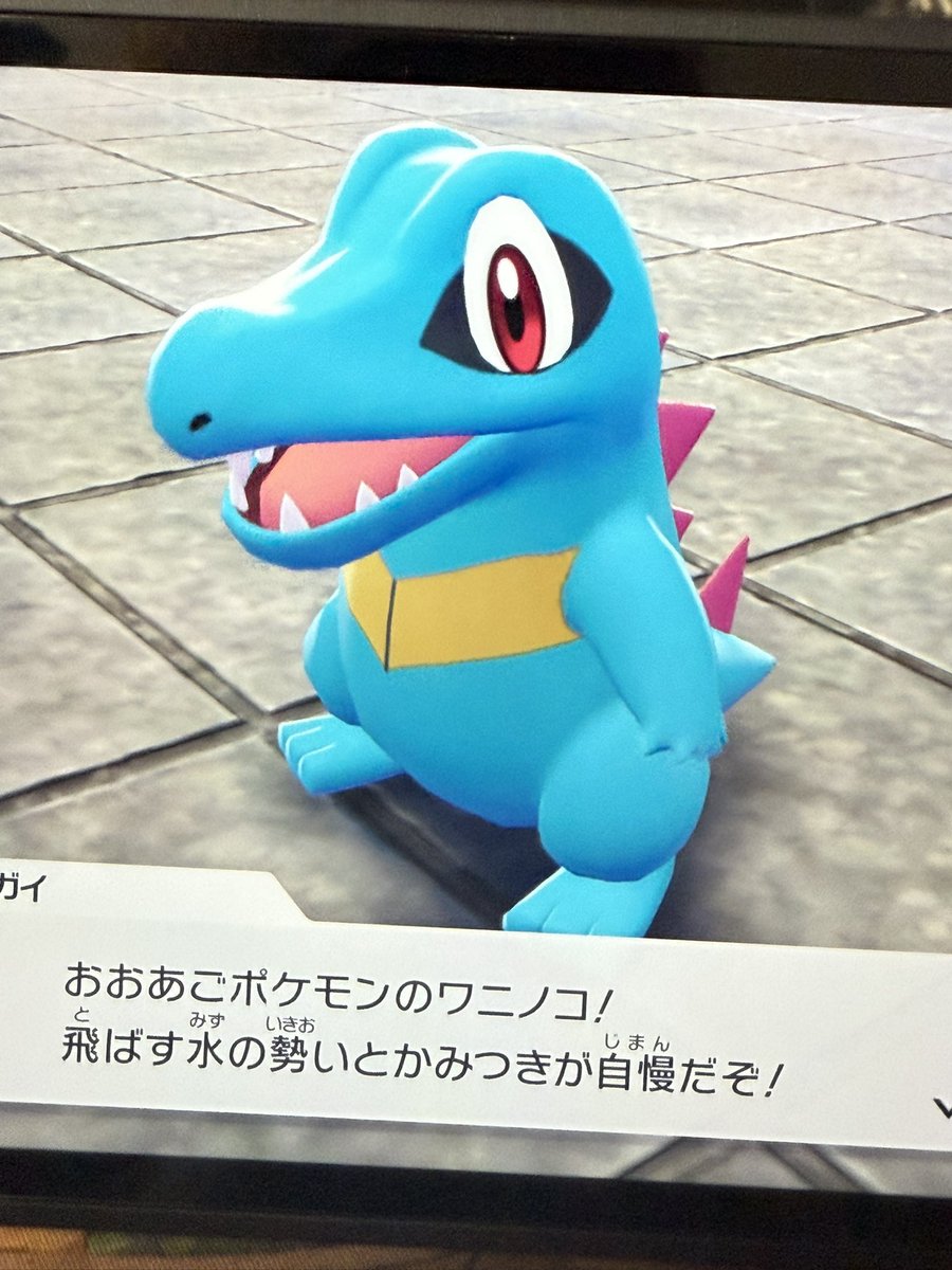 抹茶ソーダ (@megumin12920) on Twitter photo 