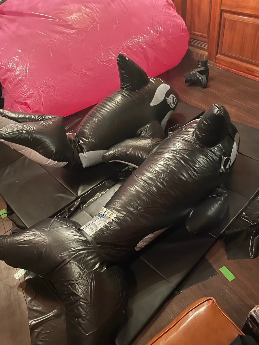 目玉は、
　
インフレーグッズです。

HagechangとFetish Campの
協力の元、数々の

インフレータブルの遊び用具。

バキュームとは違う✨新感覚✨

人喰いソファーに
シャチ🦈フロート

ここらへんはまだ序の口ですよ☺️