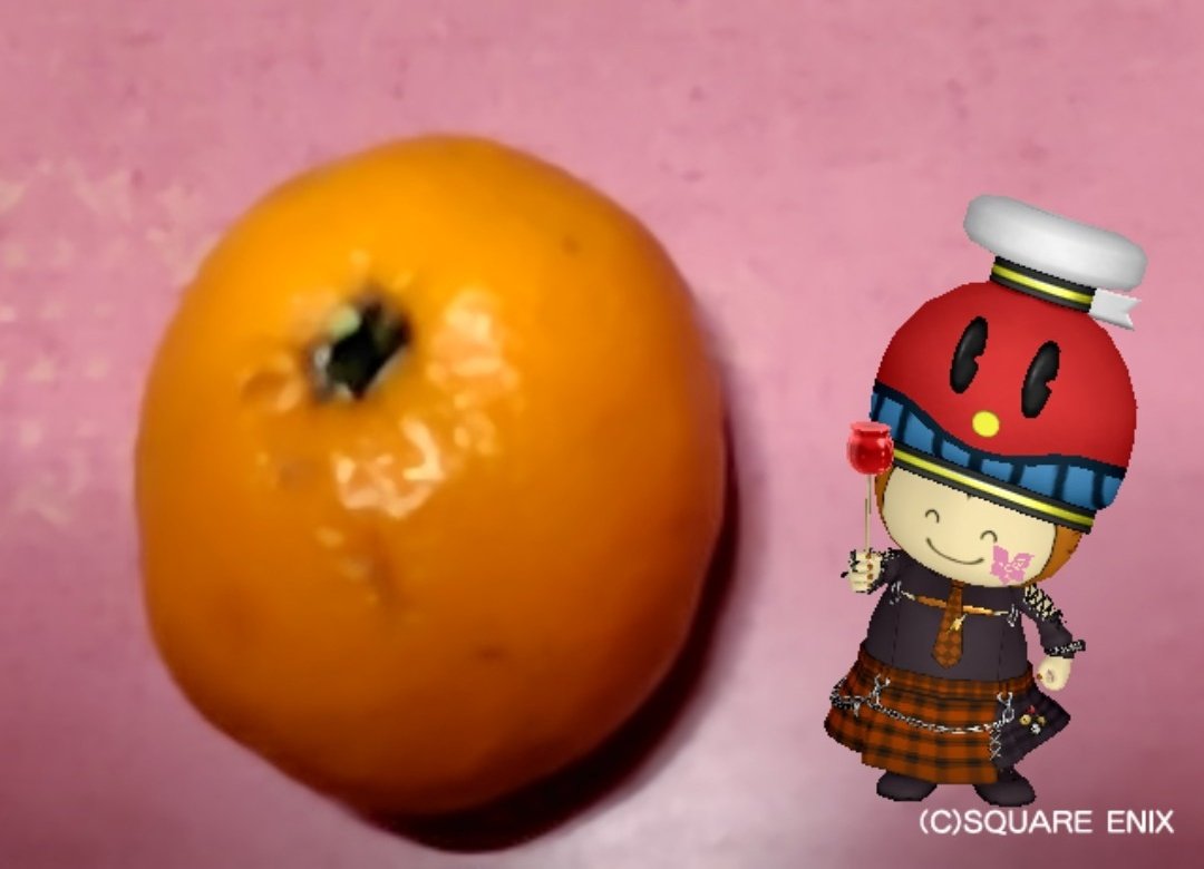 コタツにみかんの時期になってきましたね🍊