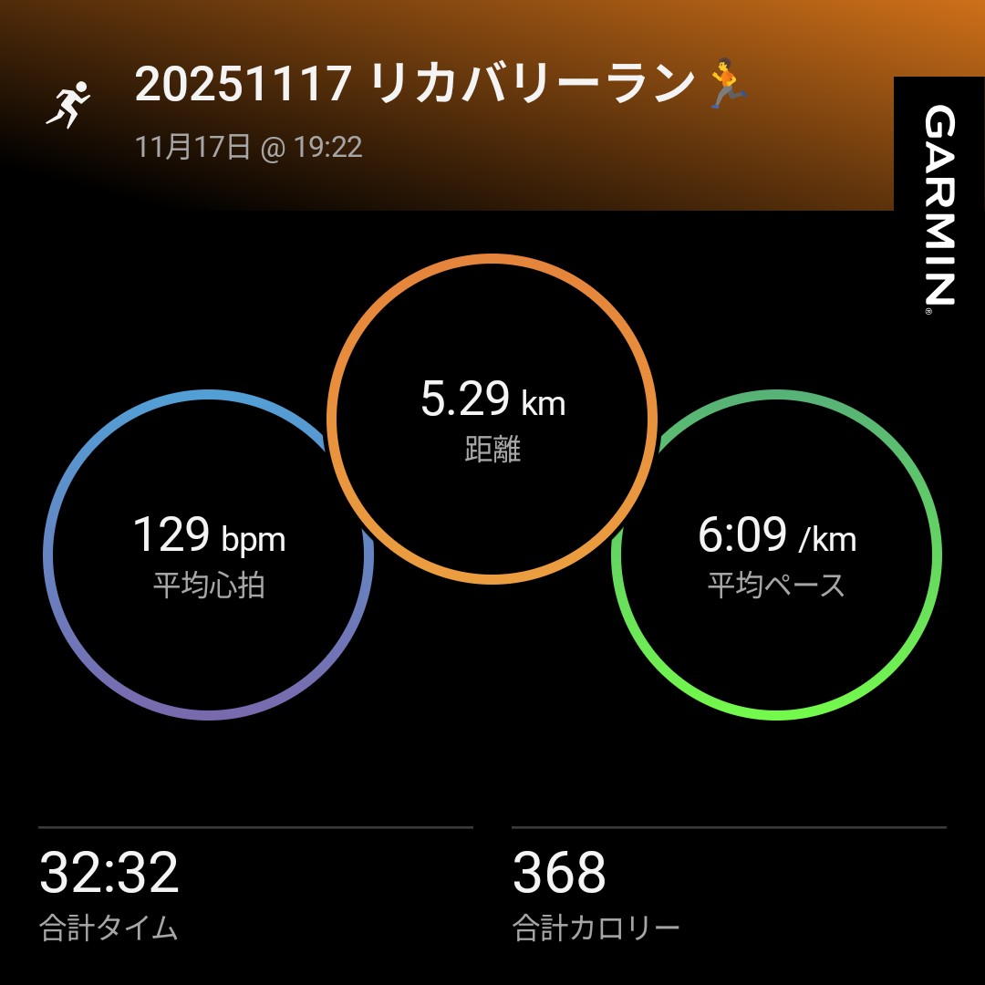 ＼仕事終わりのリカバリーラン🏃／
夜ランは夜ランで気持ちよかです︎︎👍
街中にイルミネーションが増えてきて、クリスマスが近づいてきたなぁ🎅と実感。
一年があっという間だな😅💦💦
