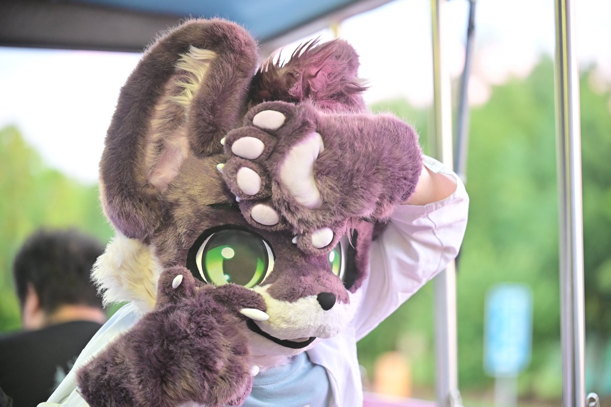 <a href="/Jinhaicat/">Jinhai the Adventurer!</a>  #infurnity2025