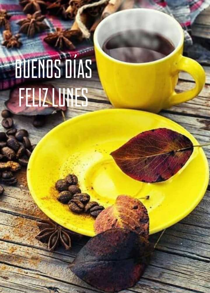 Feliz Lunes
