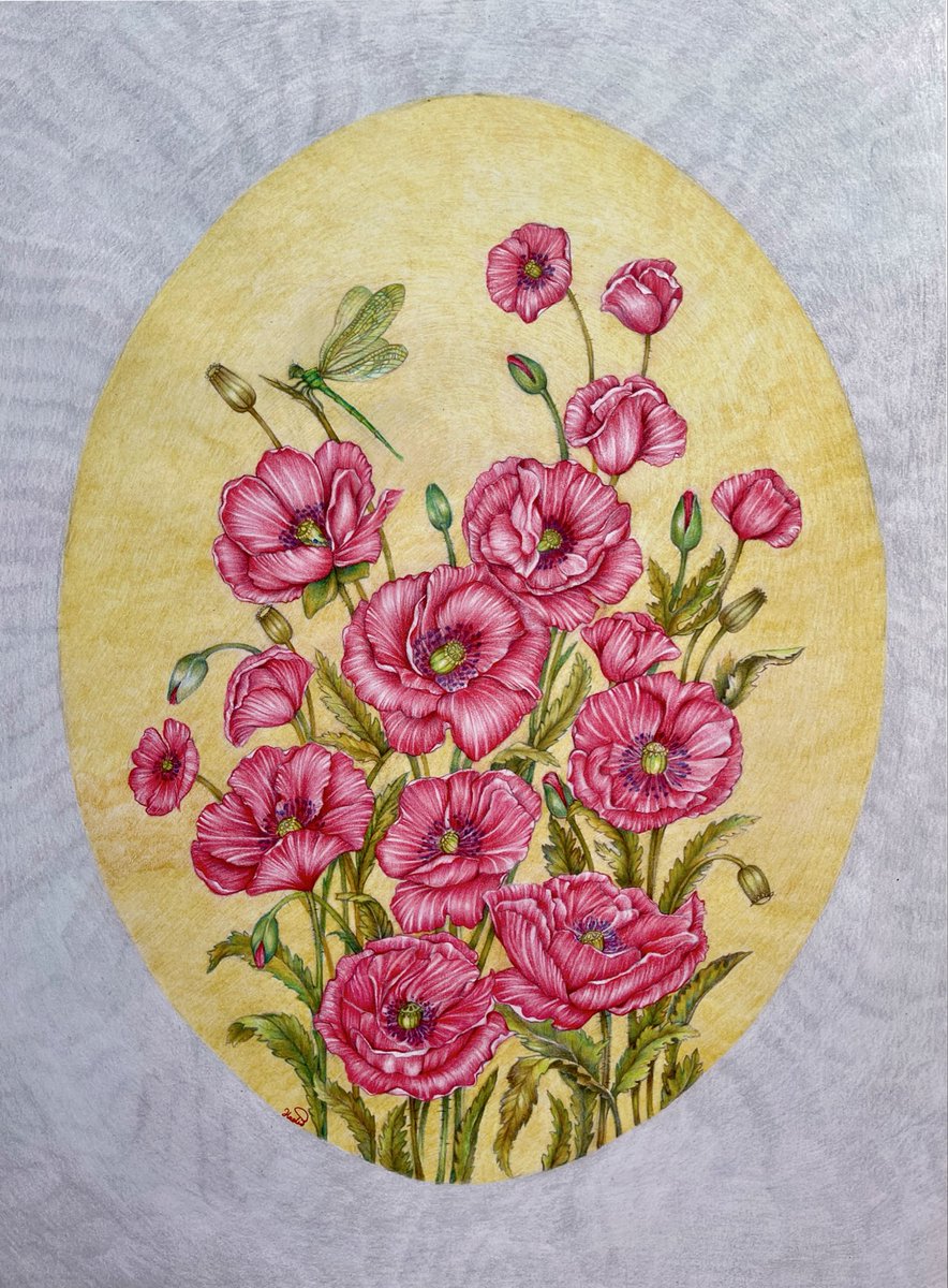 🌺🌺🌺🌺🌺🌺🌺🌺🌺🌺🌺🌺🌺🌺