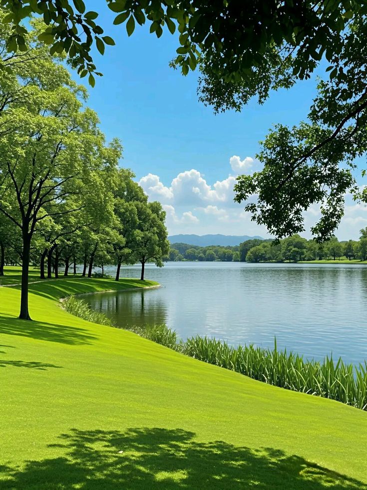 bfelite_events's tweet photo. Why your event deserve a venue that feels like a dream.

There’s a special magic that happens when a venue breathes peace, beauty, and intention. It lifts the entire event. It sets the tone for joy. It wraps guests in comfort the moment they enter. https://t.co/RPU2FRILEz