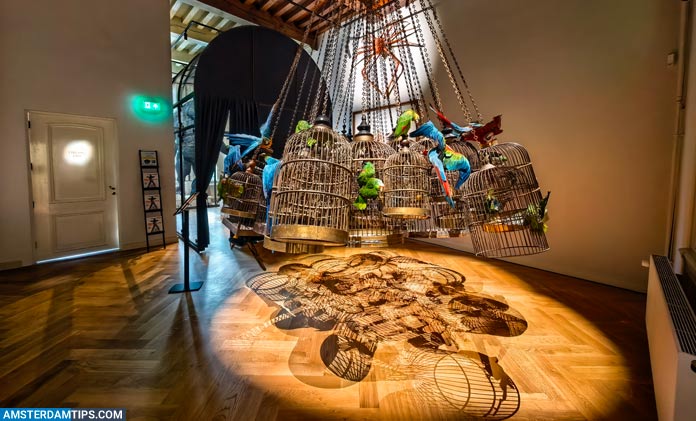 See high-end artistic taxidermy specimens at Art Zoo Museum - in a stunning 17th century canal house in Amsterdam. A highlight is the illuminated tulip room. amsterdamtips.com/art-zoo-museum