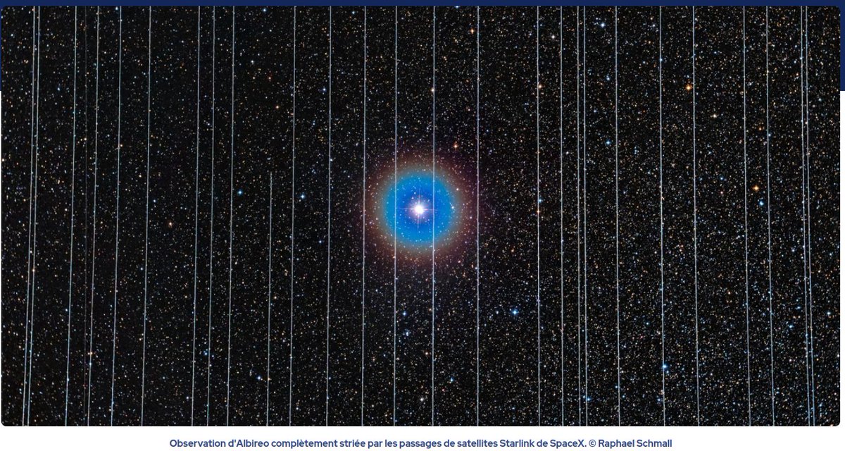 Joachim Séné tweet media