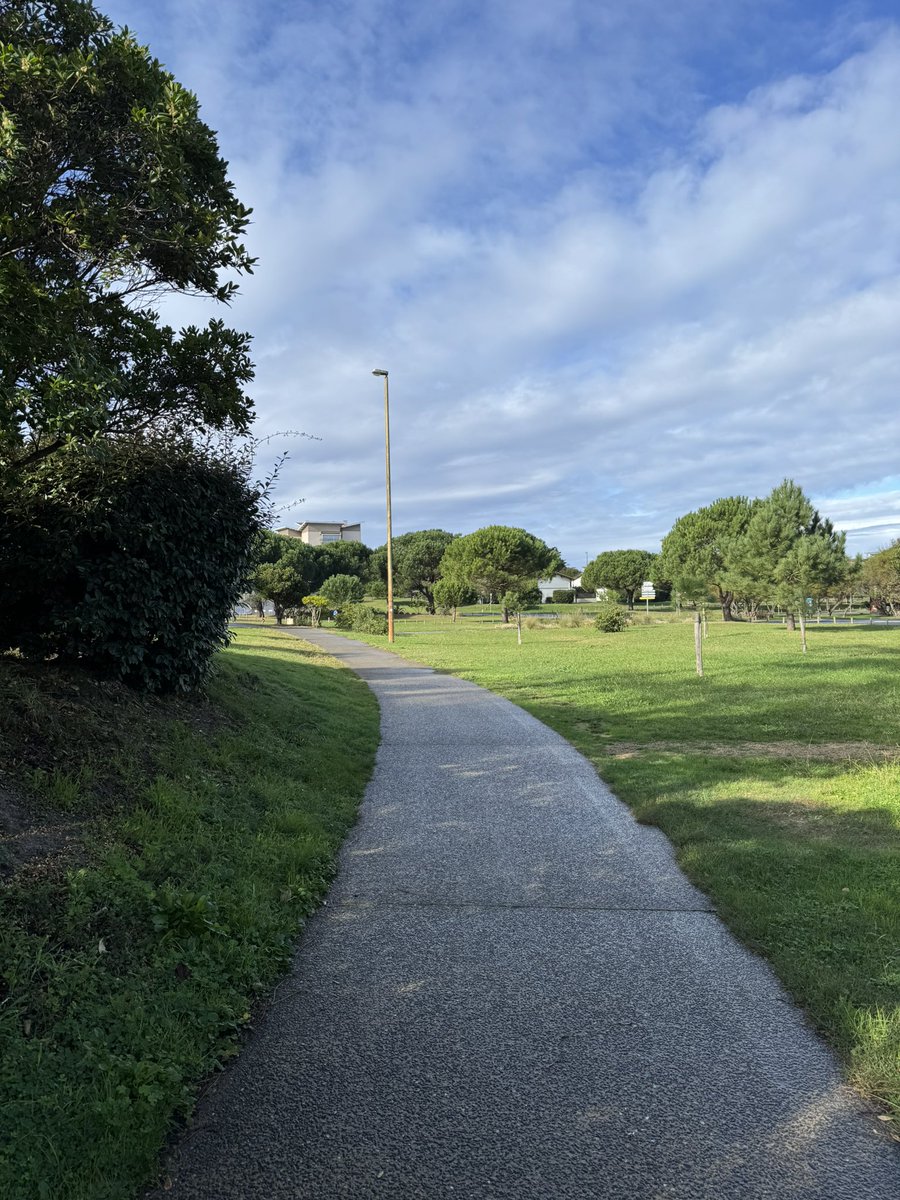 Dia 4:
Tirei um dia de folga ontem por causa de uma dor muscular intensa devido aos saltos na caixa do dia anterior. A