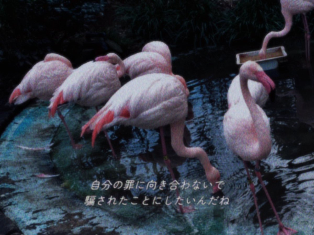 離想宮 (@risoukyu) on Twitter photo 