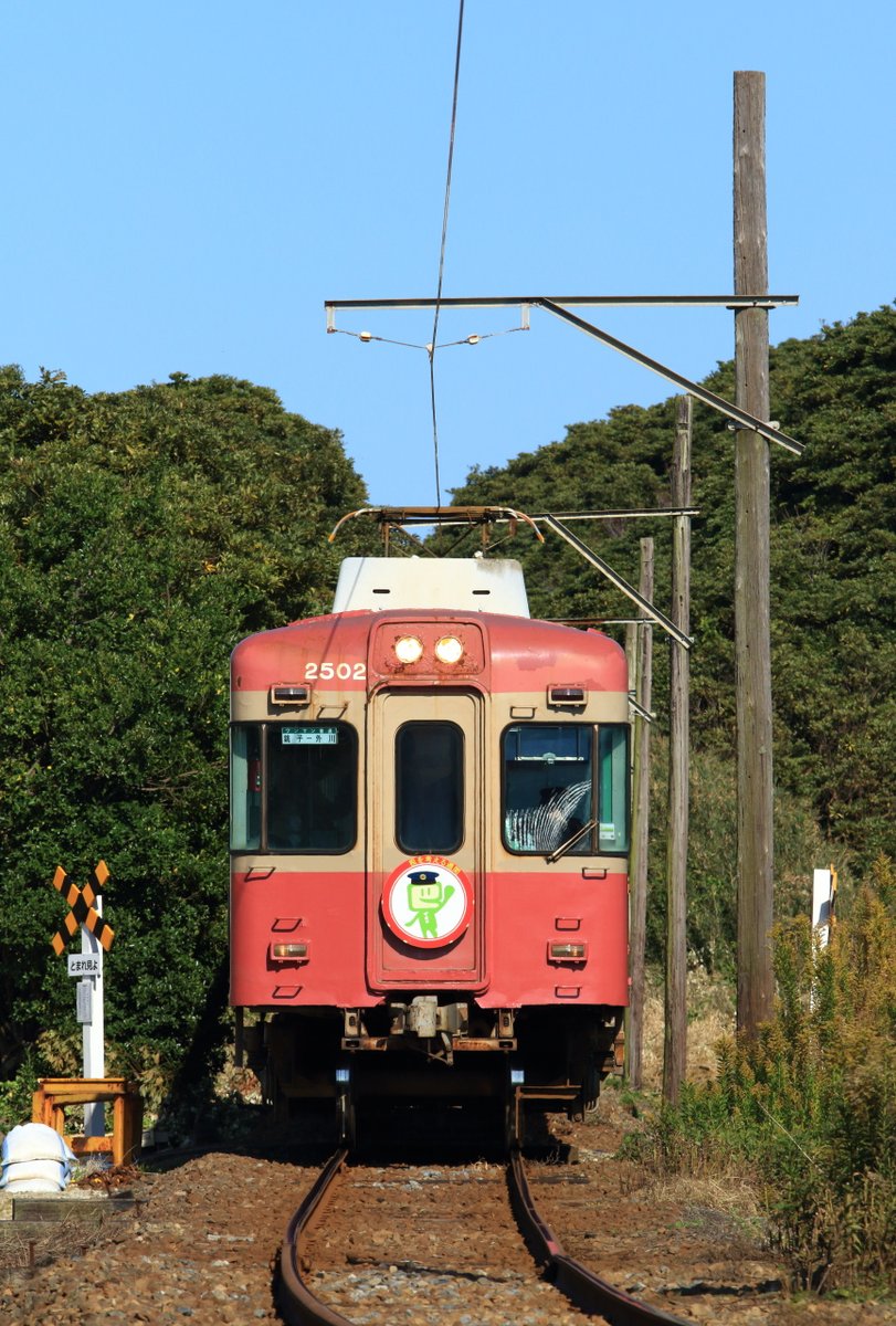 あんぱん) (@anpan_2634) / Posts / X