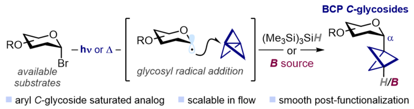 Want to put a bit of sweetness in your week ?? 🍰
Check out our new paper on a radical strategy to synthesize bicyclo[1.1.1]pentyl C-glycosides !!
Thank you to all the authors and collaborators for this work !
urlr.me/Pnwbj2