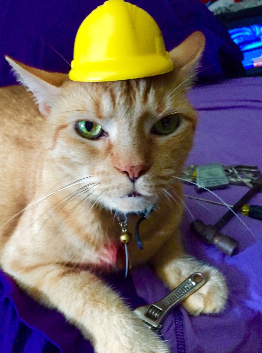 Понеділочок…