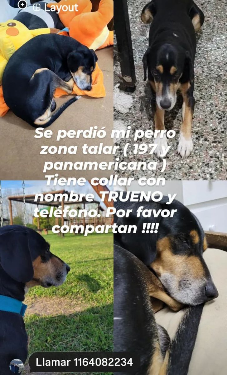 Difundimos
