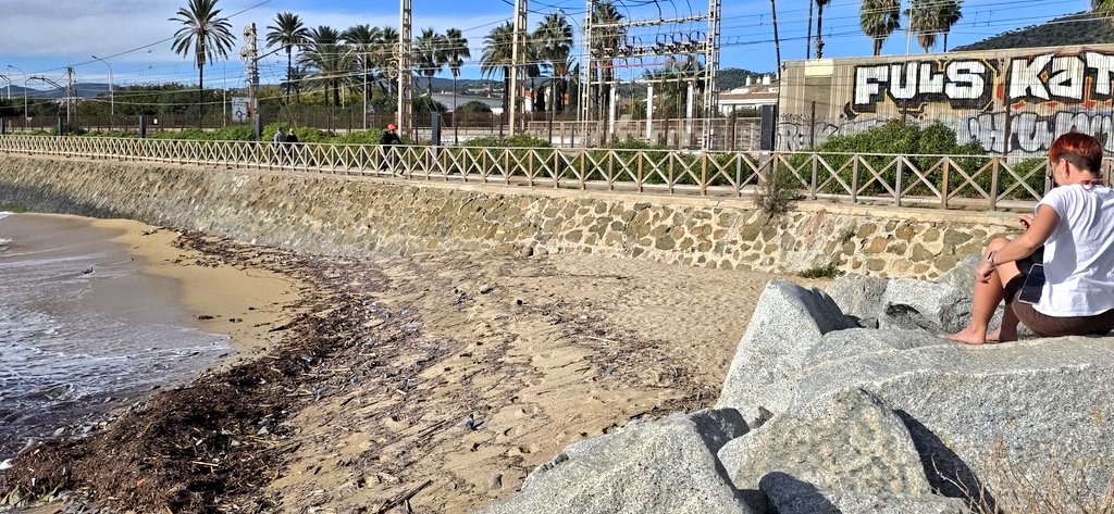 ElsImpliCats's tweet photo. ‼️ Així #Estimem #PremiàdeMar Rafa Navarro @PepRipolles @ajpremiademar ?
@PremiaMedia_ @8tvcat @Juntsxpremiamar @ERCPremiadeDalt
Una vergonya com teniu les platges!
@SilviaPaneque @JXCat_MediAmb @residuscat @transicioeco @AccioClimaDIBA ‼️ https://t.co/G9P6hu1CA8