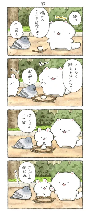 卵🥚 