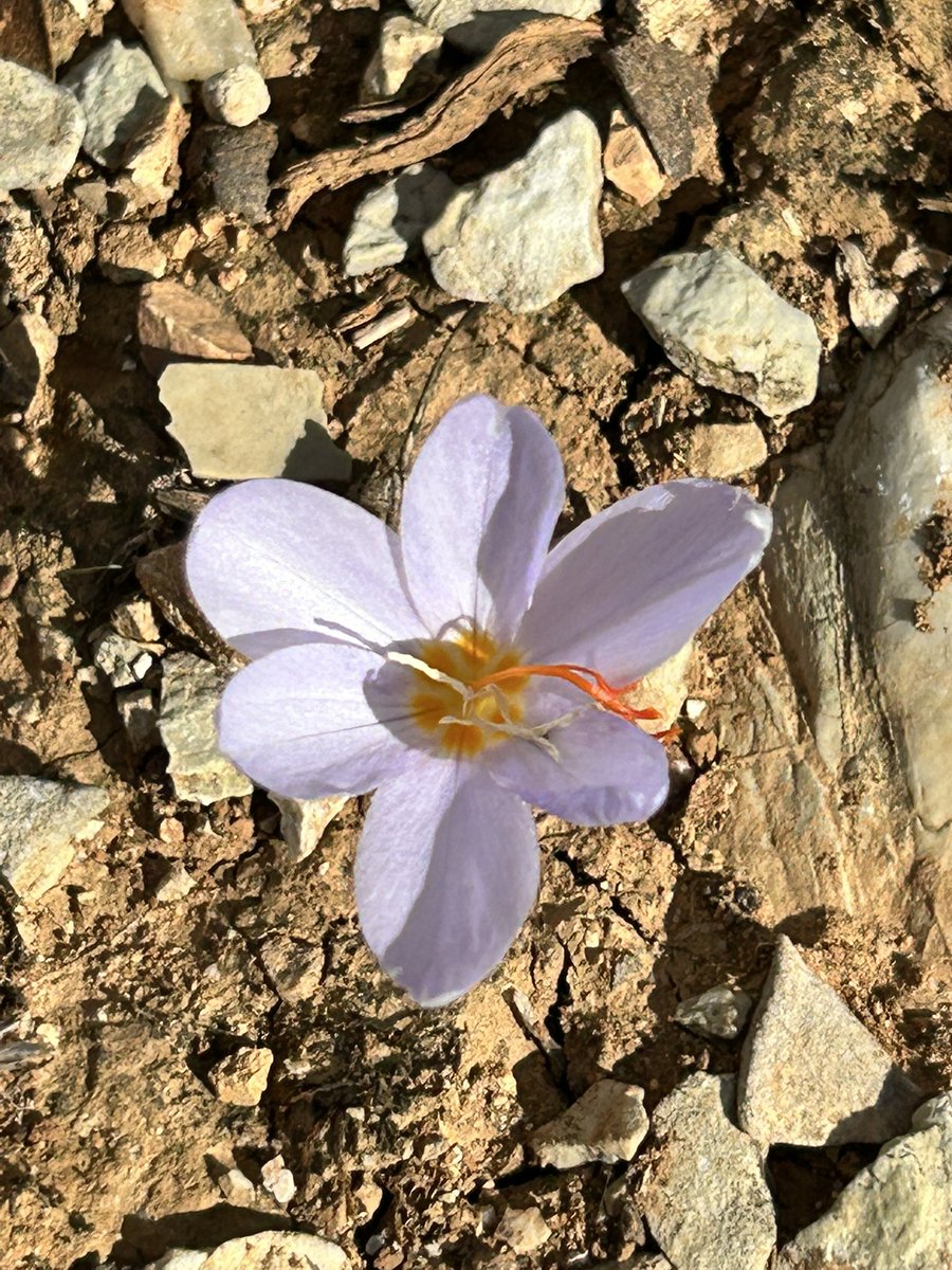 …για να 'χουν τα παιδιά μας 
τον δικό τους ήλιο...💜
