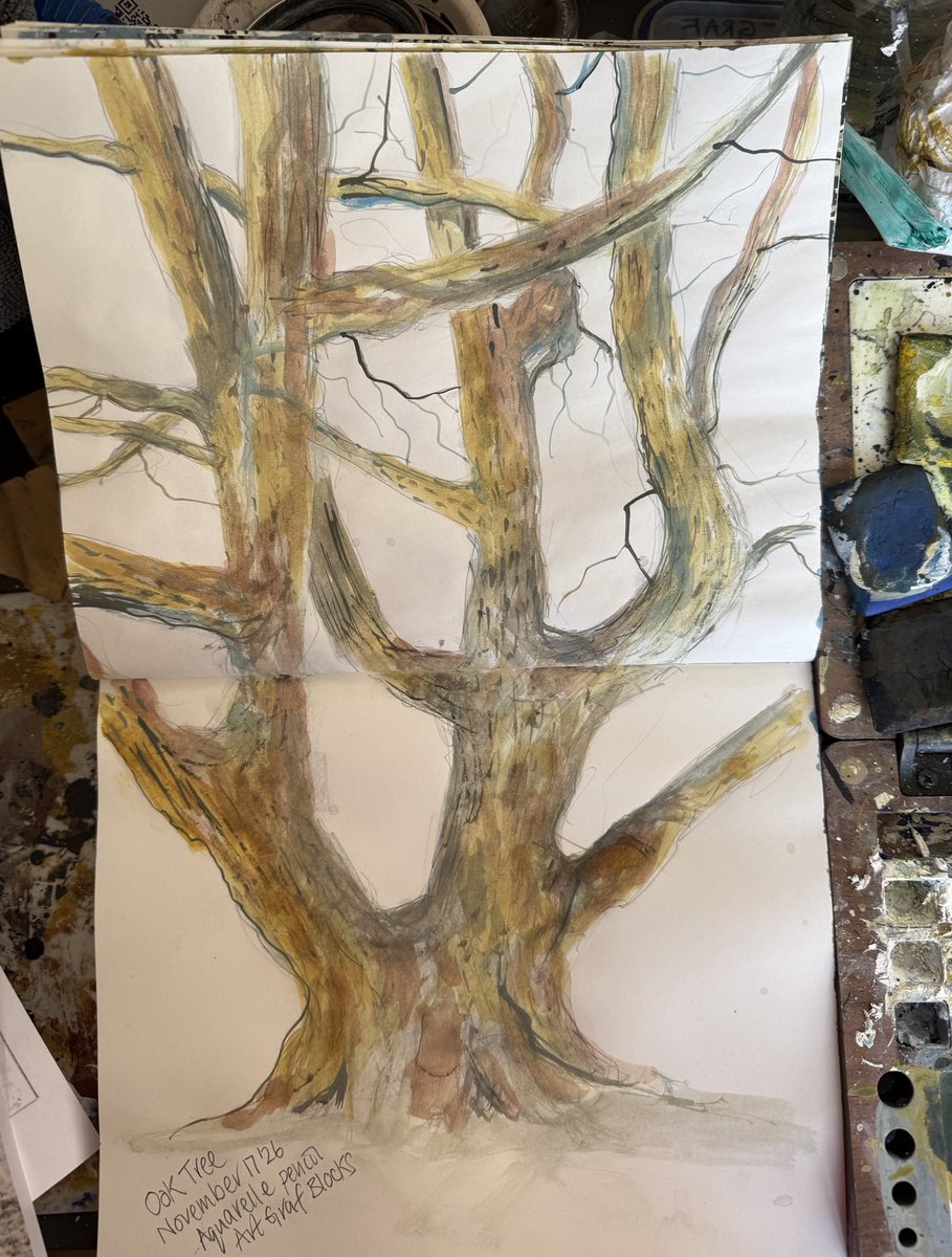 staithesartist's tweet image. #OakTree #winter #AquarellePencil #ArtGraf #blocks #Pith #sketchbook