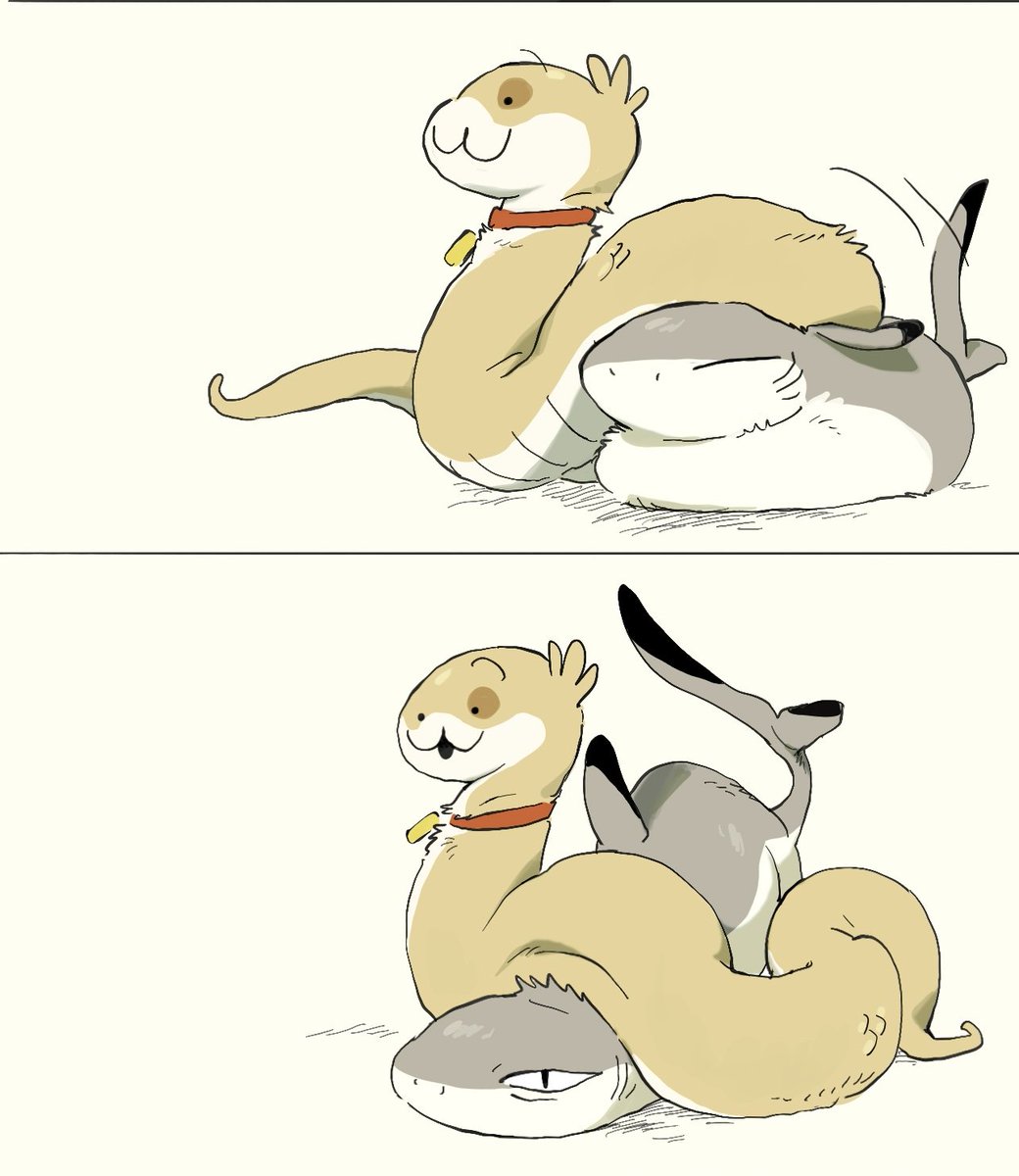 小狗蛇 tweet media