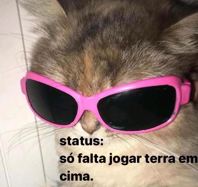 vittor's tweet photo. começando a semana desse jeito https://t.co/nVTvdFVjic