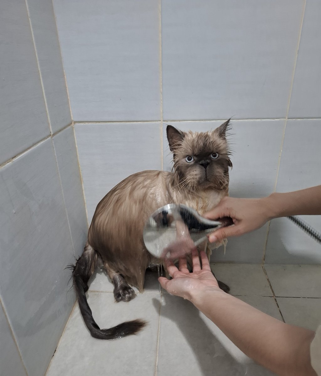 pepengbison's tweet image. &amp;amp;🍵 tlat ksih tauny