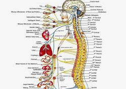Freehold Pain Relief tweet media