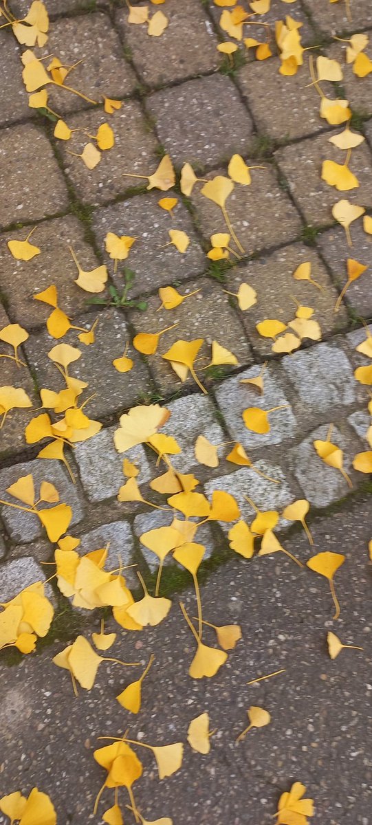 mnvrgrl's tweet photo. https://t.co/jcMHexiQ7L