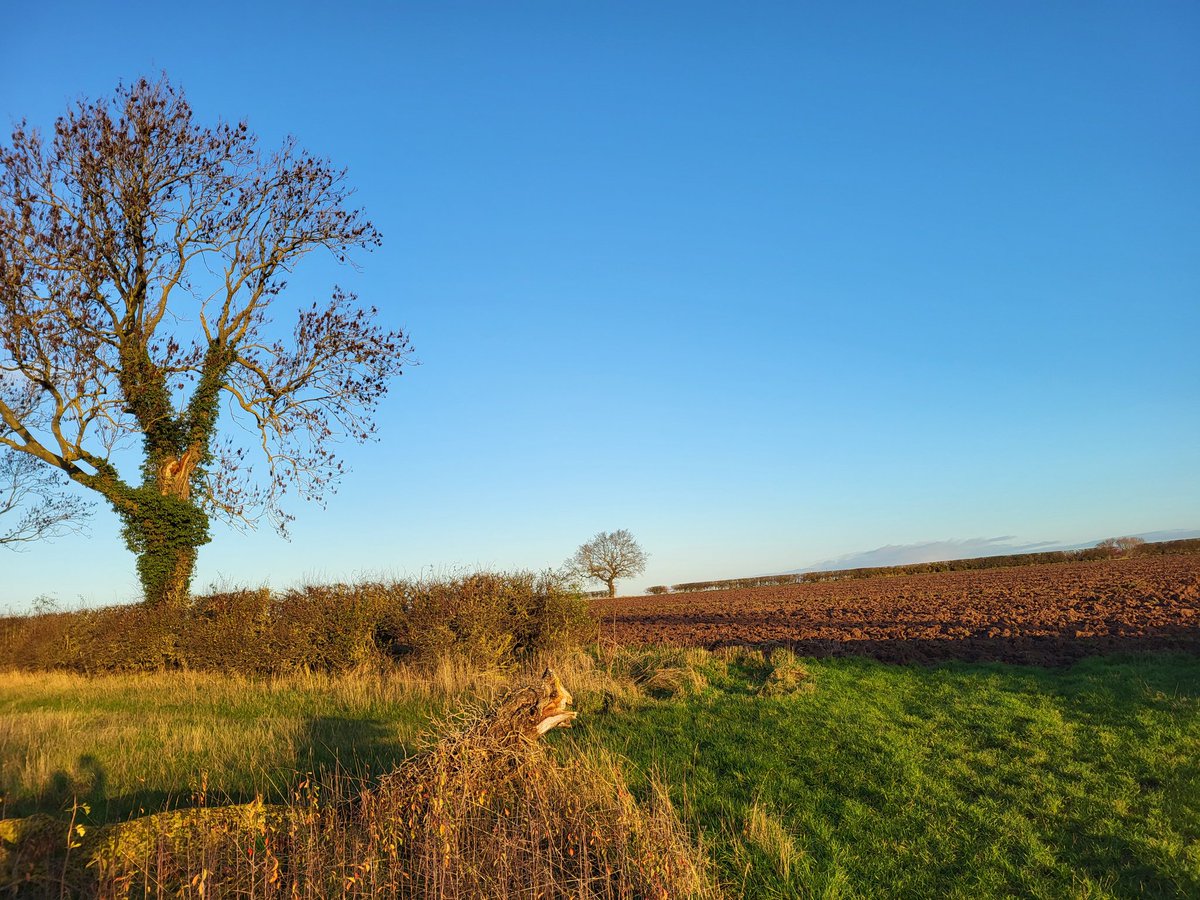 PROT_DISEWORTH's tweet photo. How will concrete &amp; warehouses prove as efficient as this land that soaks up water naturally? @SEGROplc @SleathDavid your application for DCO ranks top with nature decimation. @prologisuk, you're joint top.None of you give a ? Do you? @craig_smithUK @Hack4Labour @MJSquiresReform https://t.co/htDjtwA1ty