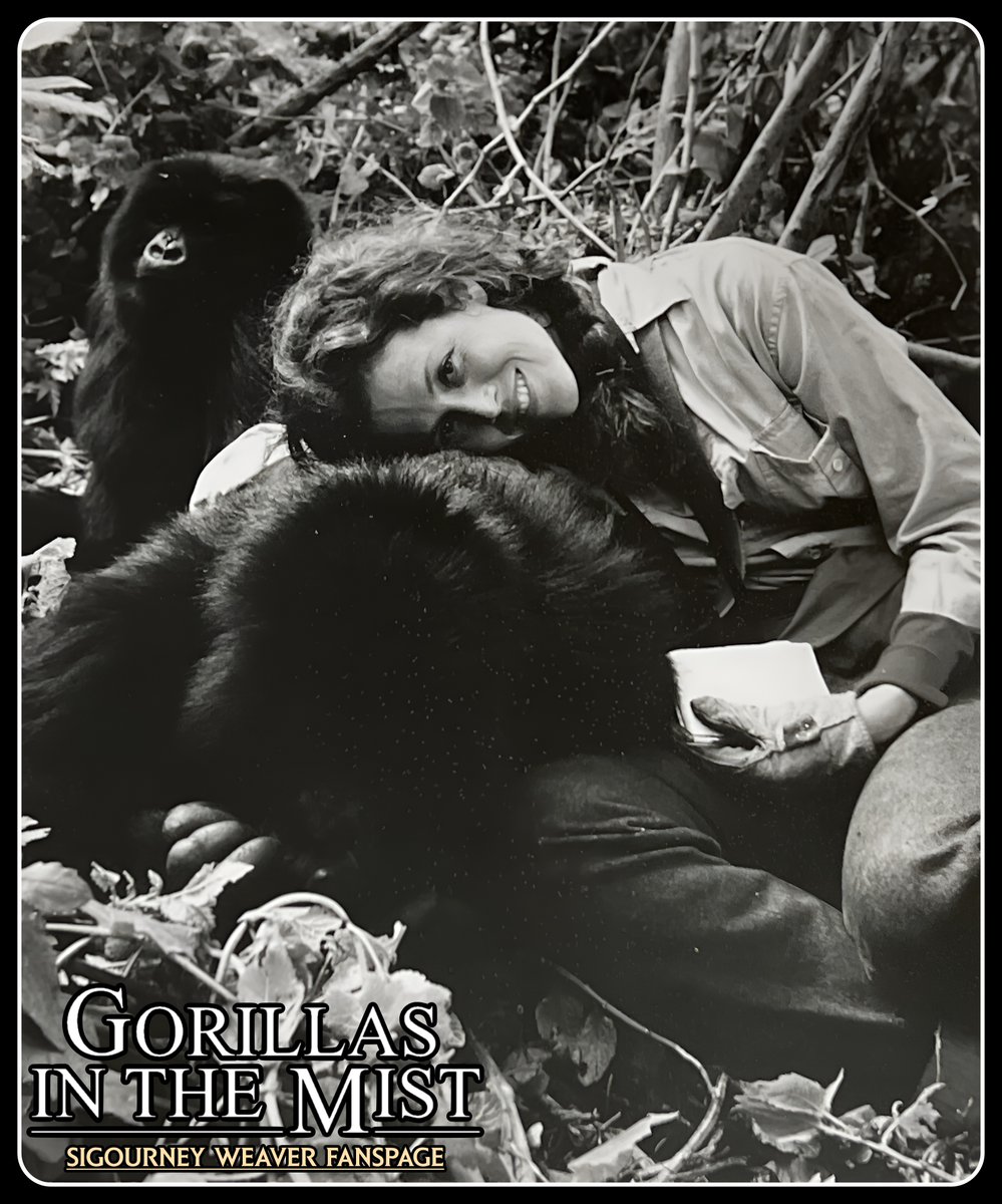 SigourneyPage's tweet image. #SigourneyWeaver #ripley #movie #Alien #aliens #alien3 #alienresurrection  #hollywood #Sigourneyweaverfanspage #Movies #films #xenomorphfanspage #giger #Xenomorph  #uscm #PredatorFanspage