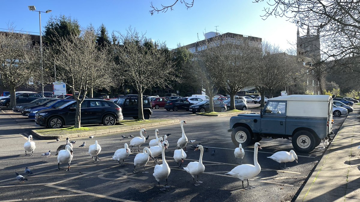 Dave Throup tweet media