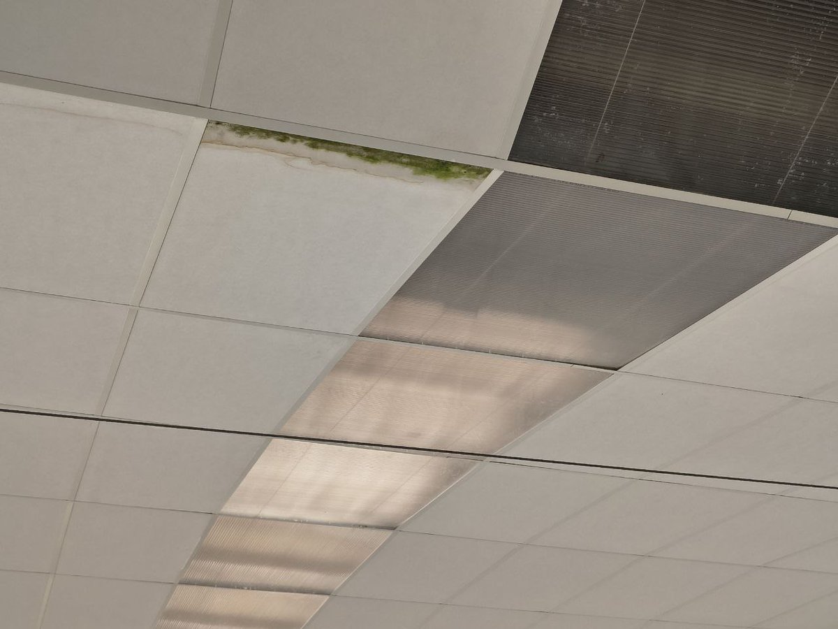 El que no entenc és perquè a la remodelació del pavelló de La Plana, Albiol hi va voler posar molsa al sostre com si fos un pessebre.