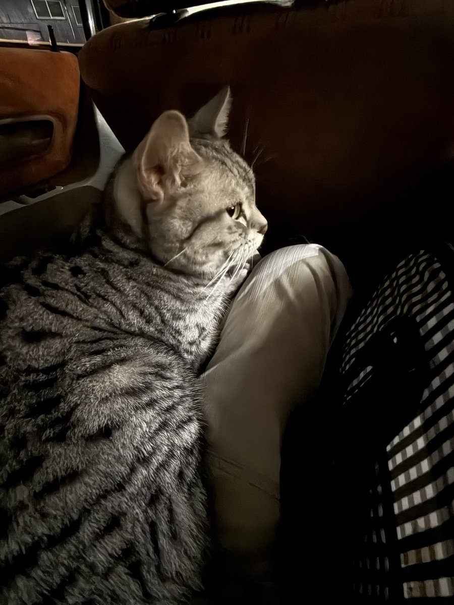 🍃🌷.*さいちゃん🌷.*🍃フォローしても外れてしまう不具合中です