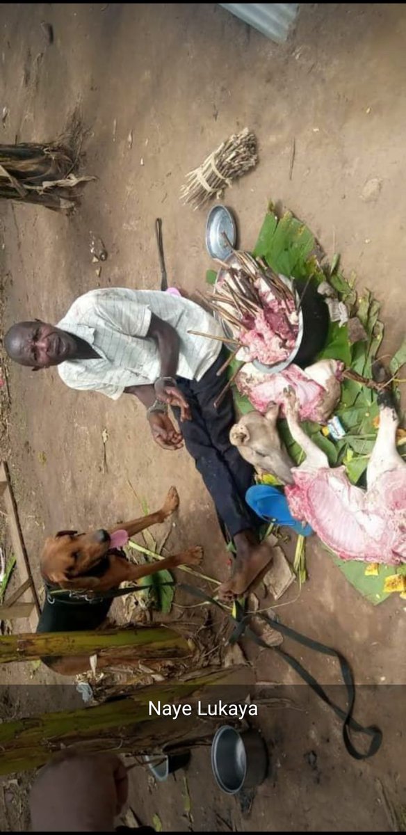 agaba_bonus's tweet image. Do you still trust lukaya meat